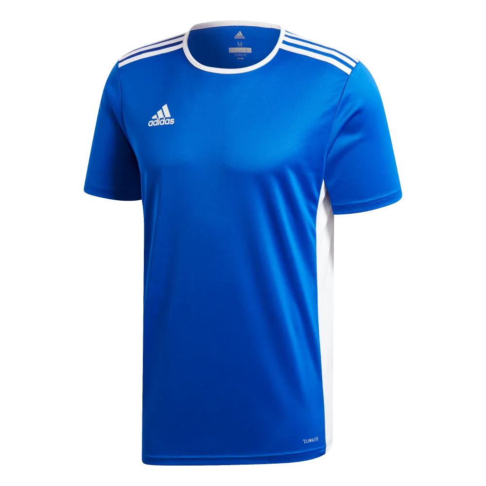 Adidas Youth Entrada 19 Jersey (Blue/White)